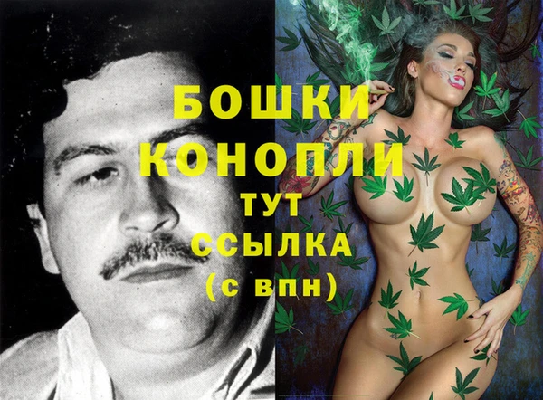 apvp Арсеньев